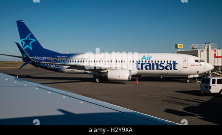 Air Transat Boeing 737-800 C-GTQF ancorato in un partenze/gate degli arrivi aeroporto Aeroporto Internazionale di Vancouver, Canada. Foto Stock