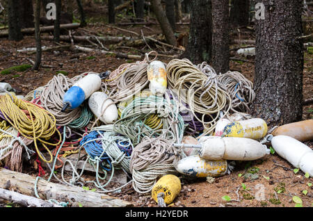 PileRopes utilizzato per il traino di lobster trap sono avvolte e accatastati sul bordo del bosco in Islesford, Maine. Foto Stock