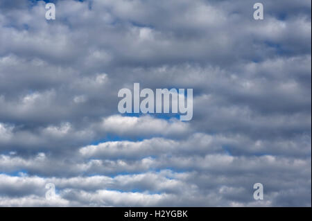 Nuvole, Altocumulus stratiformis undulatus perlucidus, Baviera, Germania Foto Stock