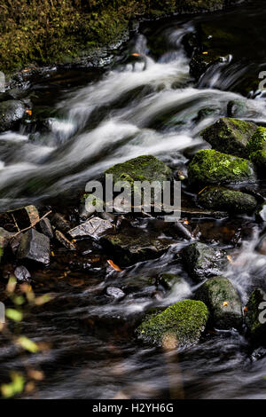 Otturatore lento dell'acqua fluente attraverso Capelrig masterizzare, Rouken Glen .GLASGOW, SCOZIA Foto Stock