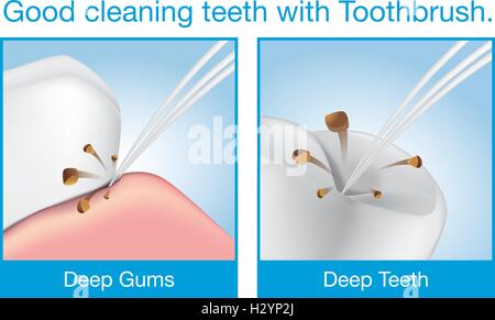 Buona la pulizia dei denti con spazzolino da denti Illustrazione Vettoriale
