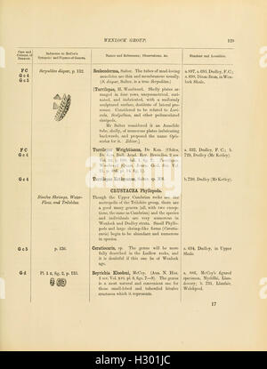 Un catalogo della collezione del Cambriano e fossili Silurian contenuta nel museo geologico dell'Università di Cambridge (pagina 129) BHL137 Foto Stock