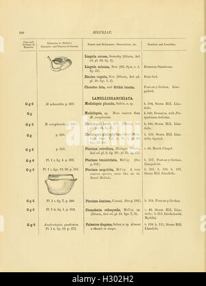 Un catalogo della collezione del Cambriano e fossili Silurian contenuta nel museo geologico dell'Università di Cambridge (pagina 190) BHL137 Foto Stock