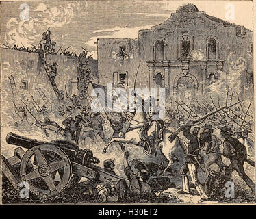 Questo resoconto storico traccia il Texas dal suo primo insediamento al 1873, coprendo eventi chiave, figure e la formazione dello stato, con l'inclusione della costituzione dello stato. Foto Stock