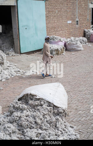 Cotonificio lavoratore Multan Pakistan Foto Stock