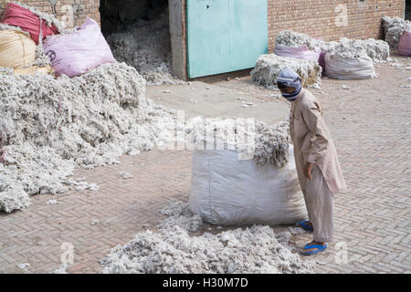 Cotonificio lavoratore Multan Pakistan Foto Stock