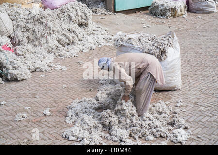 Cotonificio lavoratore Multan Pakistan Foto Stock