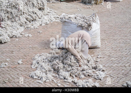 Cotonificio lavoratore Multan Pakistan Foto Stock