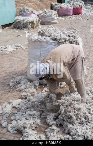 Cotonificio lavoratore Multan Pakistan Foto Stock