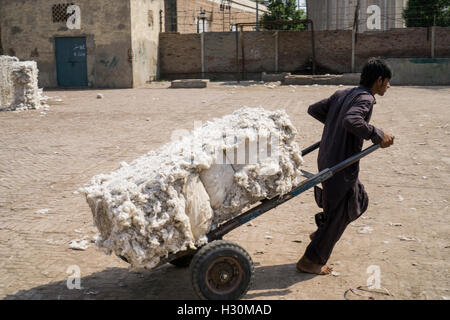 Giovani Pakistani mulino di cotone lavoratore tirando il cotone carrello al di fuori del cotonificio Multan Pakistan Foto Stock