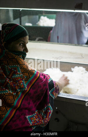 Femmina mulino di cotone lavoratore lavora Multan Pakistan Foto Stock