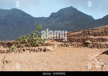 Fuerteventura Isole Canarie, Nord Africa, Spagna: muro di pietra sulla strada sterrata di Cofete, un remoto villaggio di Morro Jable mountain range Foto Stock