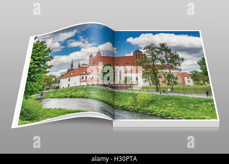 Vista sul fiume Vilnia al San Bernardo Chiesa, Vilnius, Lituania, paesi baltici, Europa Foto Stock