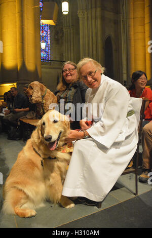 La città di New York, New York, Stati Uniti d'America. 02oct, 2016. Benedizione degli animali che celebra la festa di San Francesco a New York presso la Chiesa Cattedrale di San Giovanni il divino. Nella foto: volontario con uno degli animali in attesa per la processione a beginin. Credito: Rachel Cauvin/Alamy Live News Foto Stock