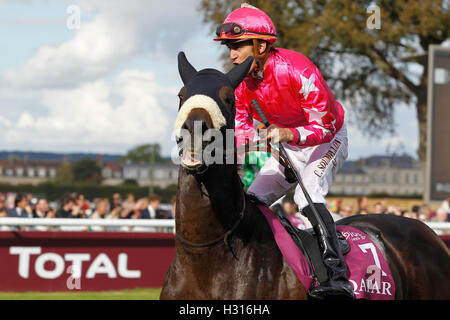 Ippodromo di Chantilly, Francia. 01 ott 2016. Prix de l'Arc de Triomphe, Gara 4 sulla scheda. Silverwave - Christophe Soumillon © Azione Sport Plus/Alamy Live News Foto Stock