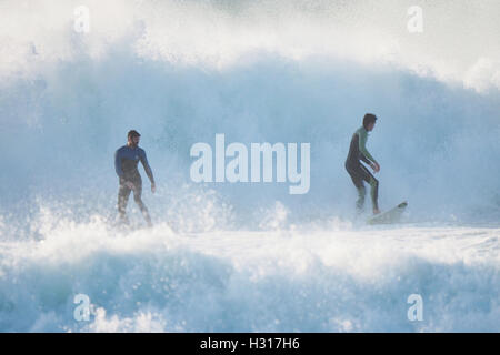 Lone surfer rides enorme back lit sunshine surf REGNO UNITO Foto Stock