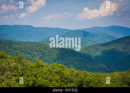 Strati di Blue Ridge, visto dalla Skyline Drive, nel Parco Nazionale di Shenandoah, Virginia. Foto Stock