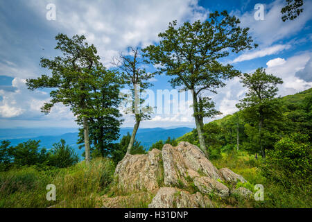 Rocce e alberi a Jewell si affacciano cava nel Parco Nazionale di Shenandoah, Virginia. Foto Stock