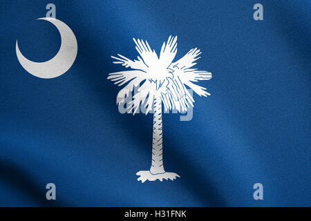 South Carolinian bandiera ufficiale, il simbolo. American elemento patriottico. Stati Uniti d'America banner. Stati Uniti d'America lo sfondo. Foto Stock