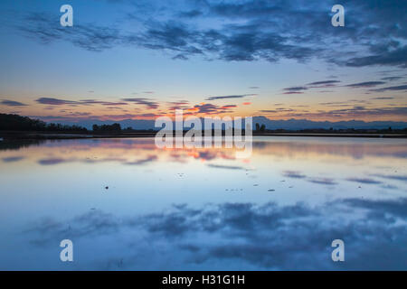 Tramonto su campi di riso vicino a Novara e Monte Rosa mountain range. Novara, Piemonte, Italia. Foto Stock