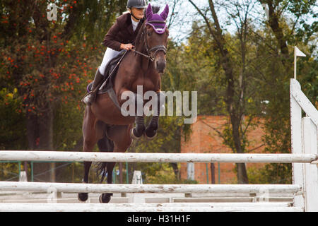 Pilota giovane ragazza sul cavallo saltando un ostacolo sul suo percorso in concorrenza Foto Stock