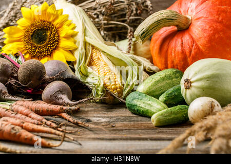 La zucca e il raccolto di verdure Foto Stock