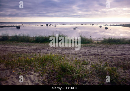 Lilac tramonto sopra Mare Bianco (Isole Solovki, Russia) visto dalla riva sabbiosa Foto Stock