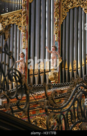 Organo del Vangelo nella nuova cattedrale di Salamanca, Spagna, creato da Pedro de Echevarria nel 1744. Foto Stock