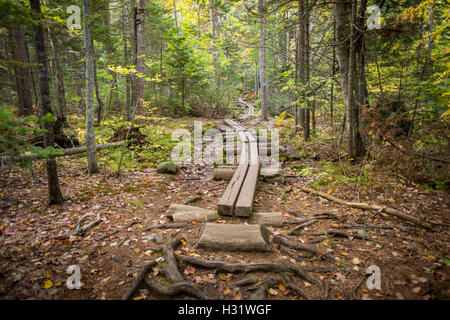 Sentiero escursionistico in Camden Hills State Park a Camden, Maine. Foto Stock