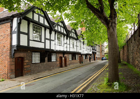 Fila di case medievali, tradizionale in bianco e nero di facciate in strada stretta con ombreggiatura alberi accanto al muro romano, CHESTER Inghilterra England Foto Stock