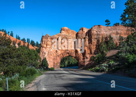 Rosso Tunnel Canyon, il Parco Nazionale di Bryce Canyon, Utah Foto Stock