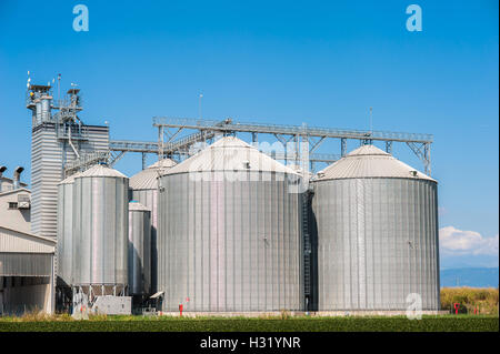 Silo agricoli - Edificio Esterno, stoccaggio ed essiccazione di grani, frumento, mais, soia, girasole Foto Stock