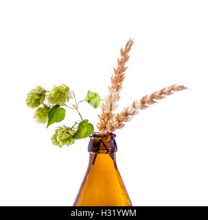 Bottiglia di birra con hop ramo di frumento, isolato Foto Stock