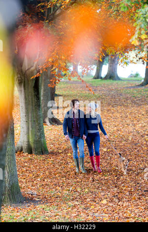 Coppia giovane godendo di un camminare insieme in autunno. Essi sono mano nella mano e parlare come una passeggiata attraverso il parco con i loro pe Foto Stock