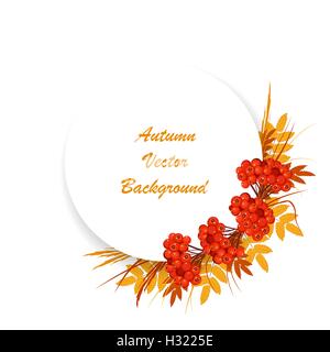 Autunno sfondo vettoriale. Illustrazione Vettoriale