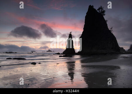 Tramonto e Seastacks, Rialto Beach Parco nazionale di Olympic, Washington Foto Stock