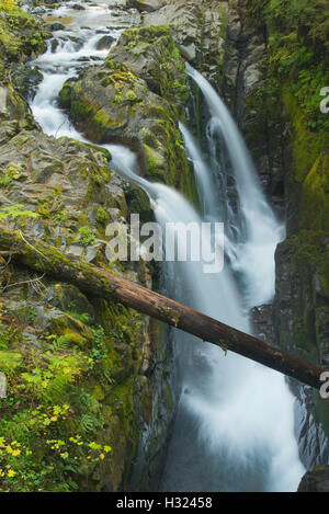 Sol Duc Falls, Sol Duc Fiume, Parco Nazionale di Olympic, Washington Foto Stock