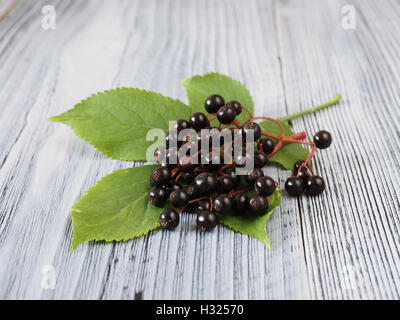 Salva anteprima Download Sambucus nigra - Sambuco sullo sfondo di legno Foto Stock