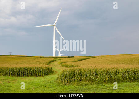 Le turbine eoliche turbine eoliche su una fattoria eolica in Iowa. Foto Stock