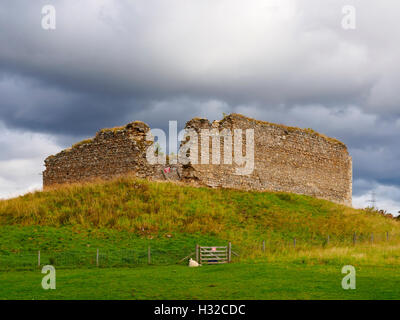 Castello di Roy, Nethy Bridge, Scozia. Xi secolo fortezza costruita dai clan Comyn. Foto Stock