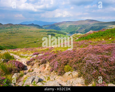 Watendlath dal di sotto grande rupe, Lake District, Cumbria Foto Stock