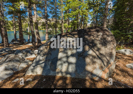 Ombre di albero attraversando il granito nella desolazione deserto, Eldorado National Forest, Sierra Nevada, in California, Stati Uniti d'America Foto Stock