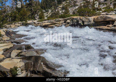 Equiseto scende lungo la piramide Creek nella desolazione deserto, Eldorado National Forest, Sierra Nevada, in California, Stati Uniti d'America Foto Stock