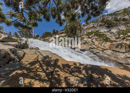 Lodgepole pino ombre a equiseto scende lungo la piramide Creek nella desolazione deserto, Eldorado National Forest, Sierra nev Foto Stock