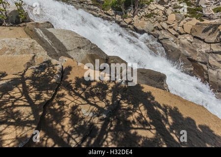 Lodgepole pino ombre a equiseto scende lungo la piramide Creek nella desolazione deserto, Eldorado National Forest, Sierra nev Foto Stock