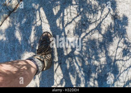 Escursioni sul granito con Lodgepole pino ombre, desolazione deserto, Eldorado National Forest, Sierra Nevada, in California, Stati Uniti d'America Foto Stock