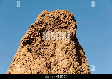 Termite Mound Texture - Australia Foto Stock