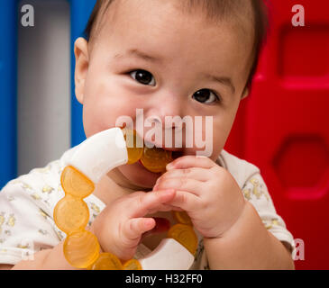 Il bambino gioca con chew toy Foto Stock