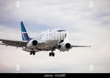 Un WestJet Boeing 737 sull approccio finale di atterrare all'Aeroporto Internazionale Pearson di Toronto. Contrassegnare Spowart/WideOpenStudios. Foto Stock