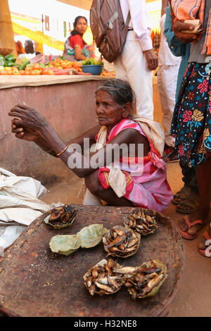 Donna vendita di pesce secco, mercato tribale, Jagdalpur, Bastar District, Chattisgadh, India Foto Stock